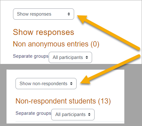 44feedbackshownonrespondents.png